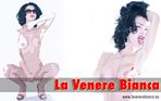 t_wallpaper_nov_09 (4)